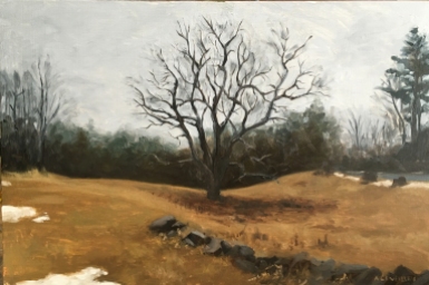 untitled (tree in field, study) : Oil on wood. 12"x18" 2016